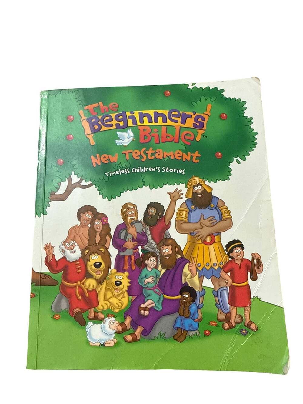 The Beginner's Bible New Testament Timeless Children's Stories Book